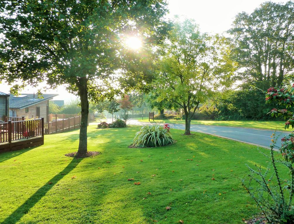 Devon Hills Hotell Paignton Rom bilde